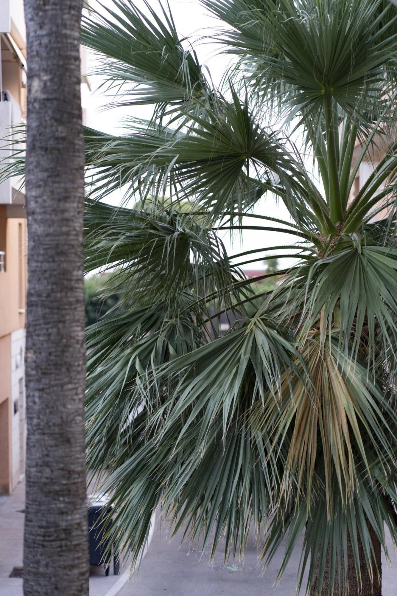 Appartement la petit maisonette de manu à Cannes Extérieur photo